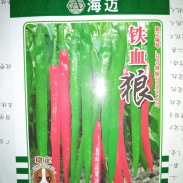 线椒种子