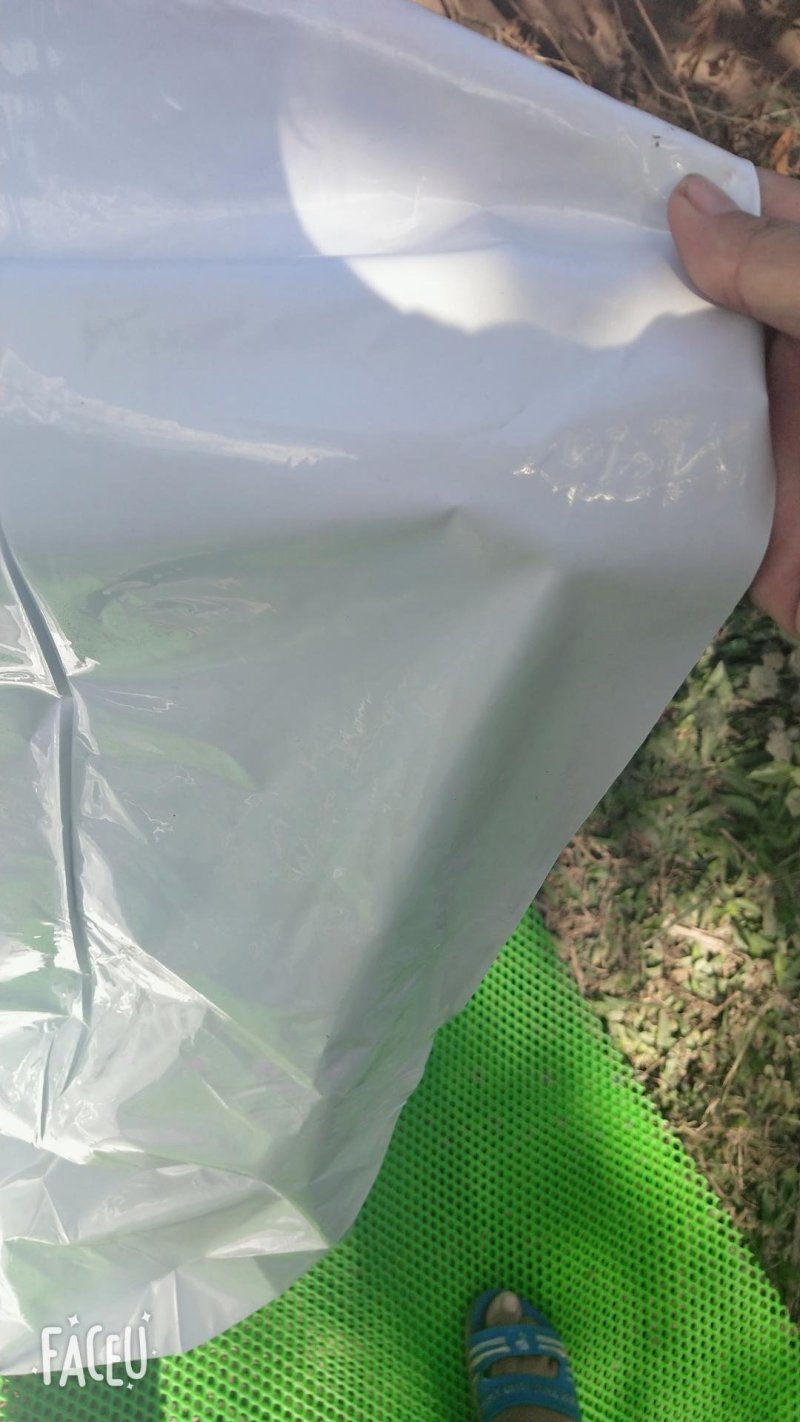 椭圆管养殖大棚。热镀锌。镀锌带，大棚骨架，热度骨架，猪。