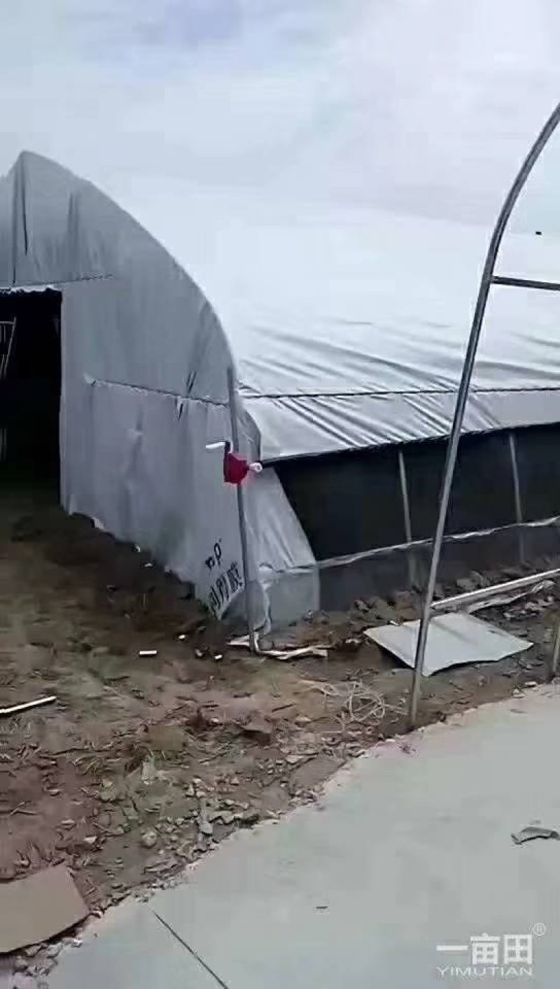 椭圆管养殖大棚。热镀锌。镀锌带，大棚骨架，热度骨架，猪。