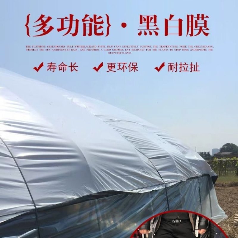 椭圆管养殖大棚。热镀锌。镀锌带，大棚骨架，热度骨架，猪。