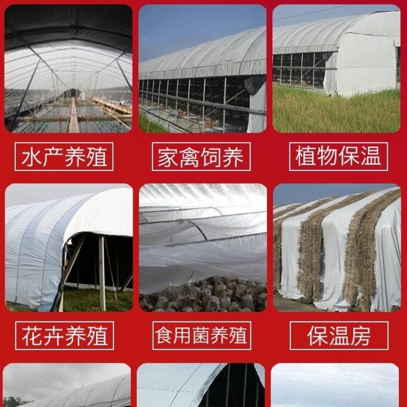 椭圆管养殖大棚。热镀锌。镀锌带，大棚骨架，热度骨架，猪。