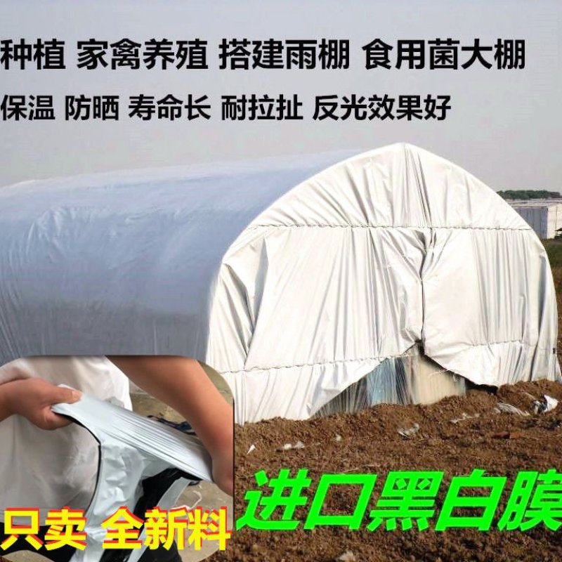 椭圆管养殖大棚。热镀锌。镀锌带，大棚骨架，热度骨架，猪。
