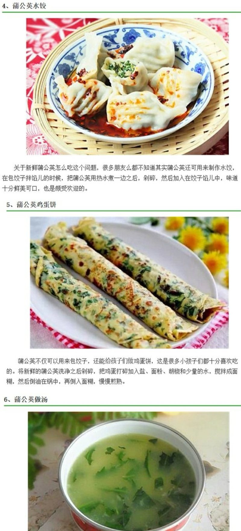 蔬菜，野菜，特菜，蒲公英鲜货，蒲公英新鲜
