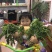 蔬菜，野菜，特菜，蒲公英鲜货，蒲公英新鲜