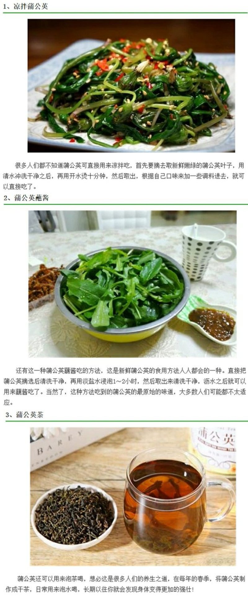 蔬菜，野菜，特菜，蒲公英鲜货，蒲公英新鲜