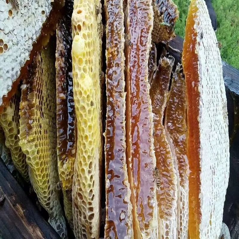 老巢蜜3年以上纯蜂蜜成熟蜜切割巢蜜蜂场直供整脾发货