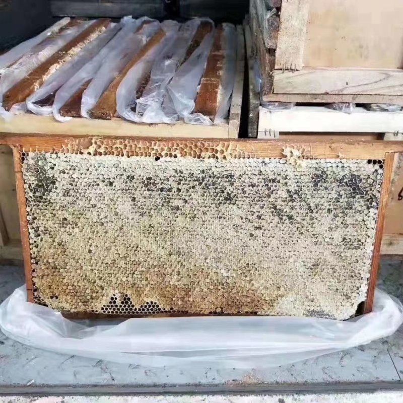 老巢蜜3年以上纯蜂蜜成熟蜜切割巢蜜蜂场直供整脾发货