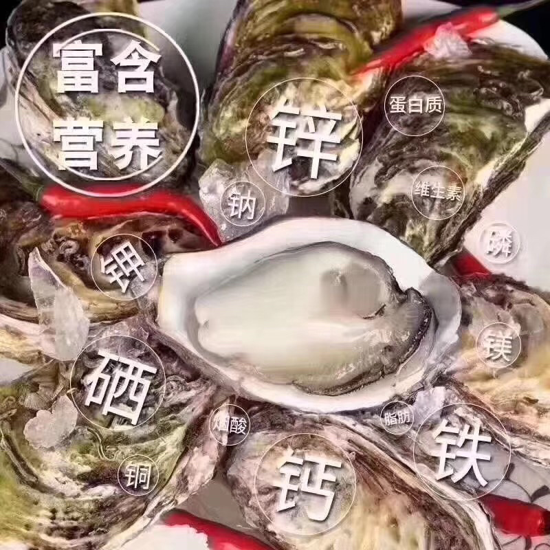 生蚝
