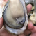 生蚝
