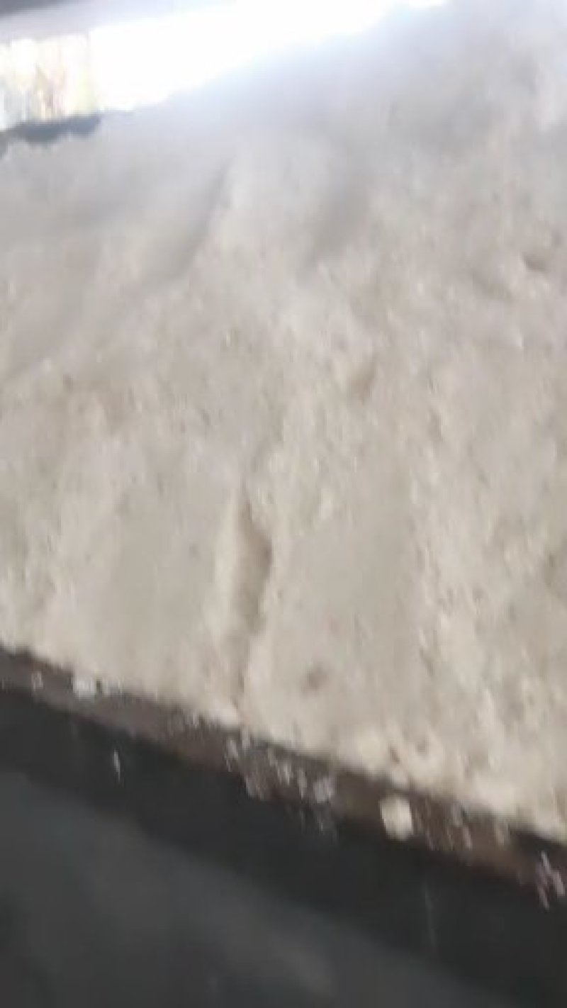 豆渣