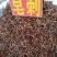 皂角刺！含量高规格齐全！一手货源，大货批发！