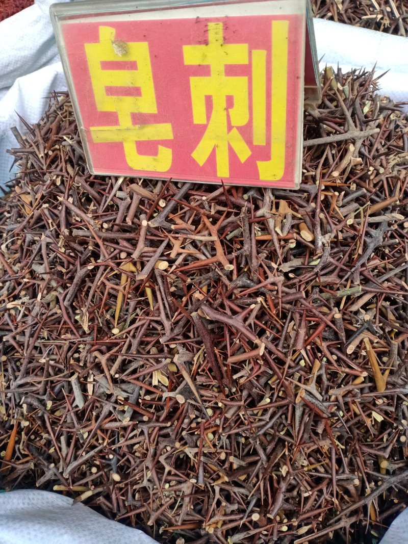 皂角刺！含量高规格齐全！一手货源，大货批发！