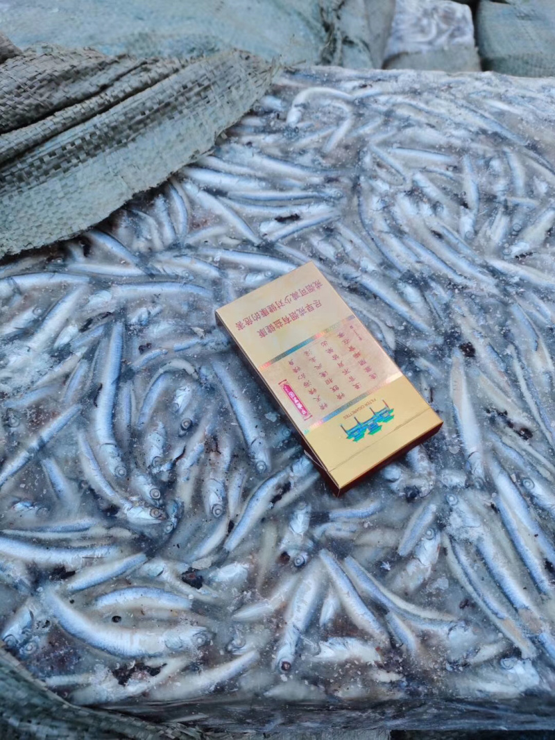 清水烂提鱼饲料鱼几锅都有冷热水