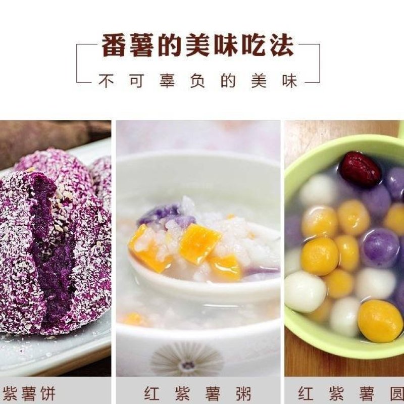 精选紫薯瓦岗红薯现挖红薯批发零售均可