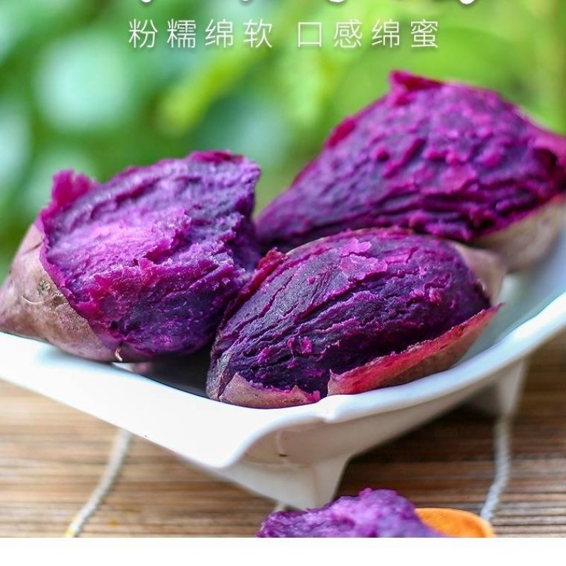 精选紫薯瓦岗红薯现挖红薯批发零售均可