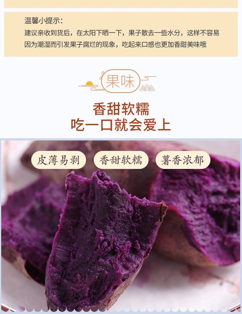 精选紫薯瓦岗红薯现挖红薯批发零售均可