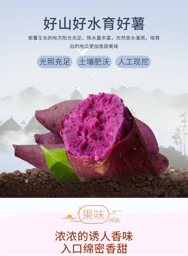 精选紫薯瓦岗红薯现挖红薯批发零售均可
