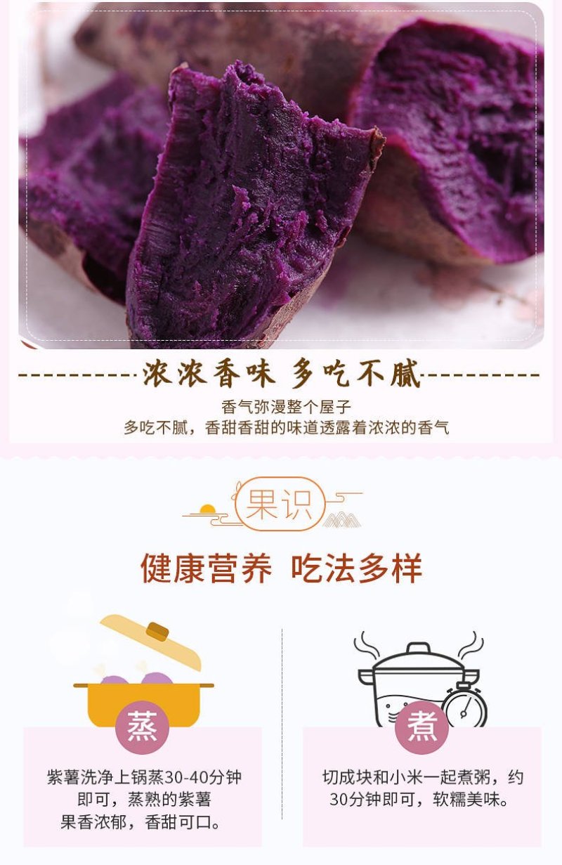 精选紫薯瓦岗红薯现挖红薯批发零售均可