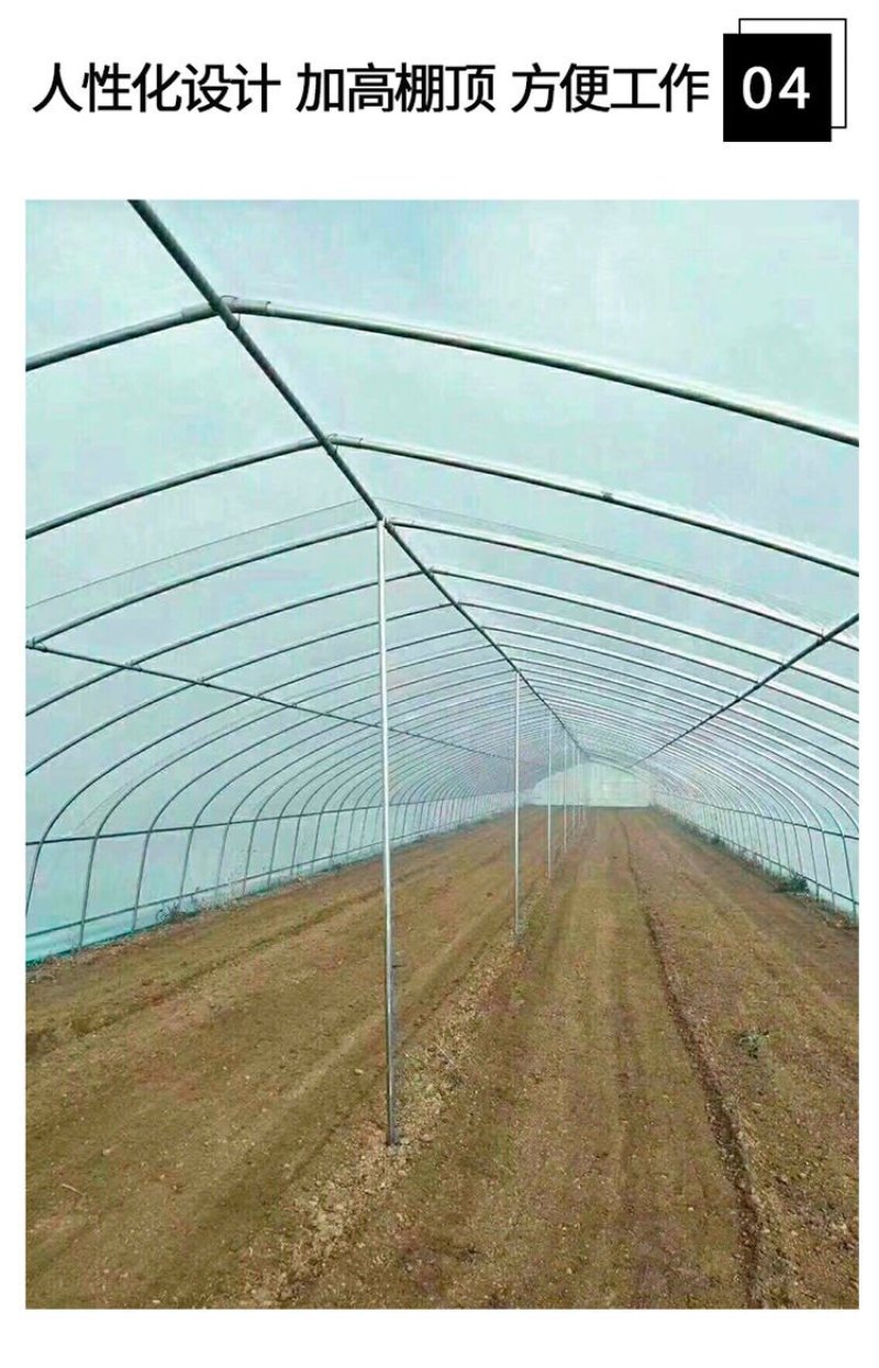 种植单体棚，大棚骨架。生产厂家。直接供货