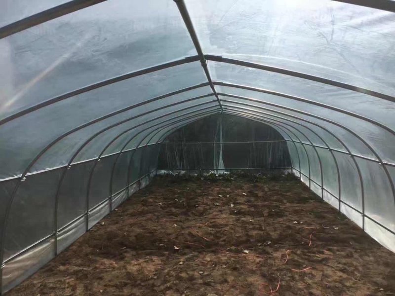 种植单体棚，大棚骨架。生产厂家。直接供货