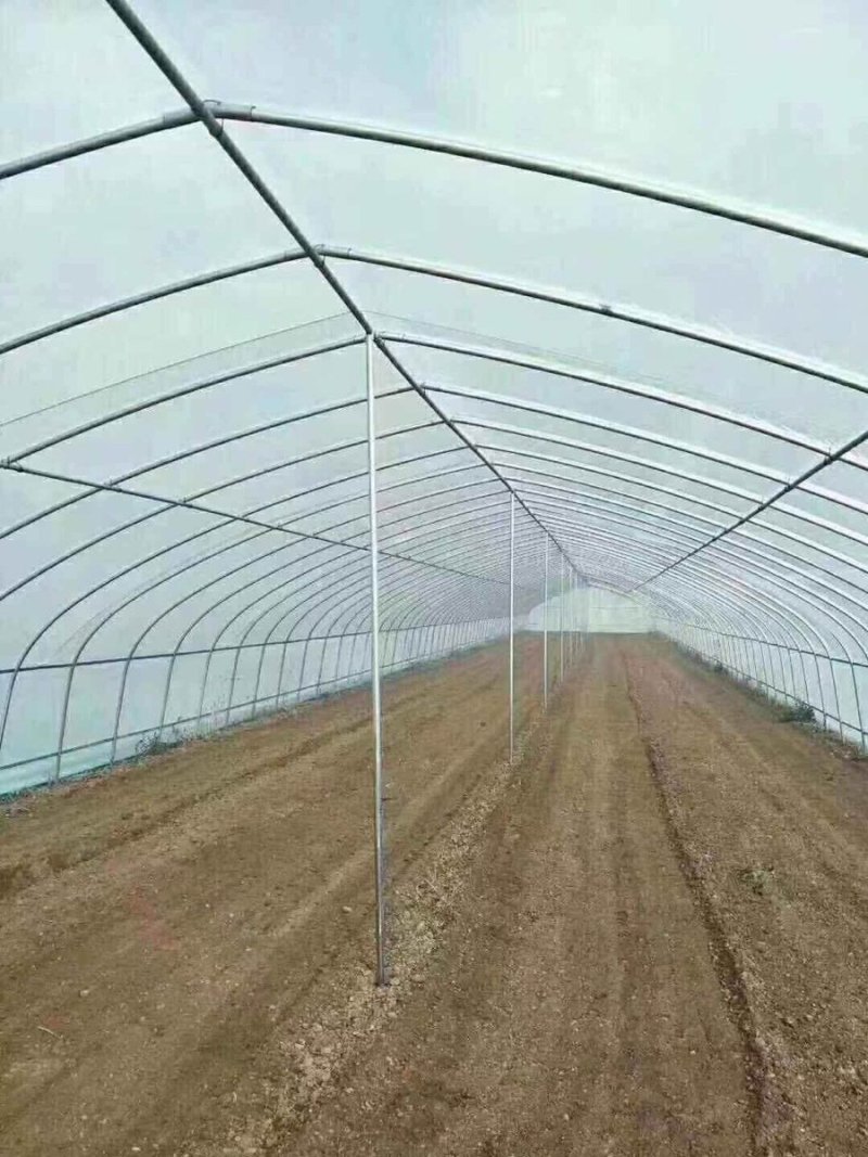 种植单体棚，大棚骨架。生产厂家。直接供货