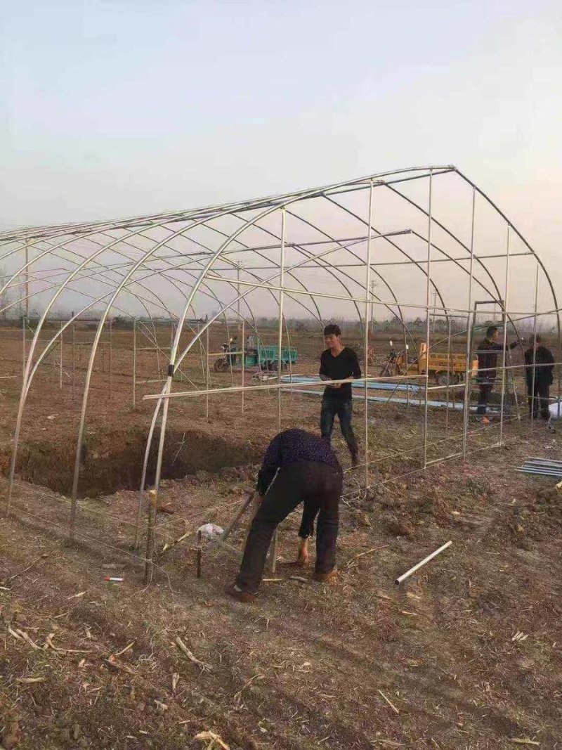 种植单体棚，大棚骨架。生产厂家。直接供货