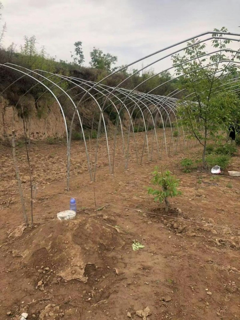 种植单体棚，大棚骨架。生产厂家。直接供货