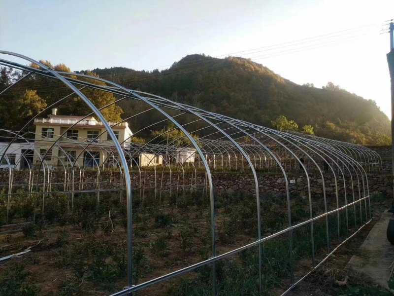 种植单体棚，大棚骨架。生产厂家。直接供货