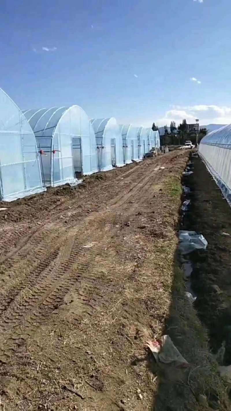 种植单体棚，大棚骨架。生产厂家。直接供货