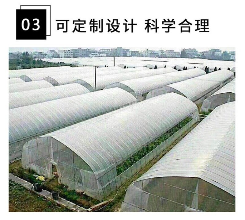 种植单体棚，大棚骨架。生产厂家。直接供货