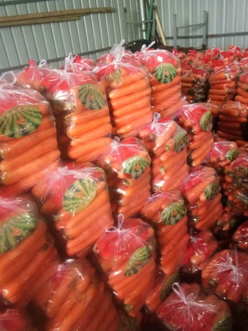 《精选》河南通许胡萝卜，水洗三红胡萝卜，货源充足，基地直供