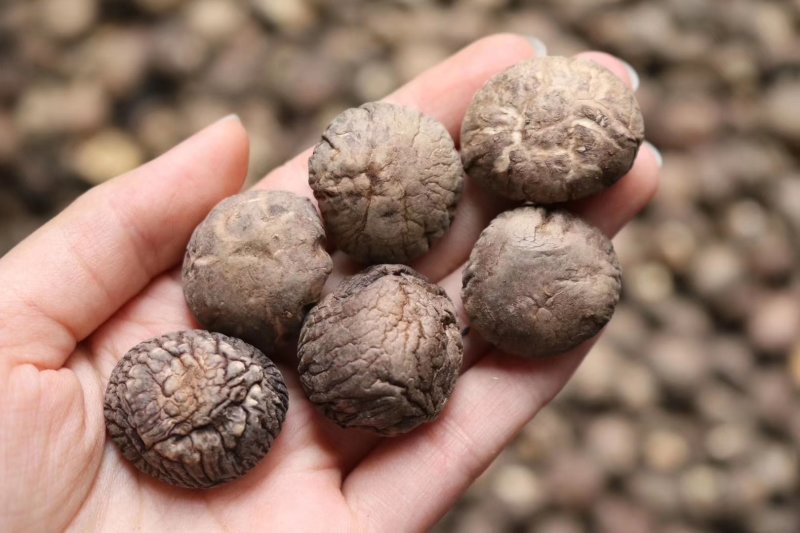 精选河南小号香菇干干度特干朵型均匀肉厚浑圆气味香浓