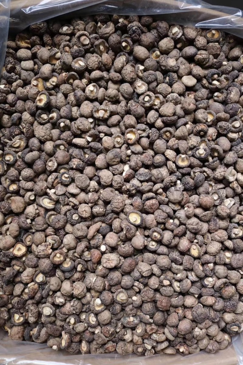 精选河南小号香菇干干度特干朵型均匀肉厚浑圆气味香浓