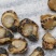 特大号山东全贝120头最大规格新鲜味道鲜美煲汤必备
