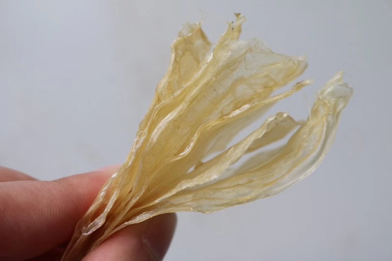 热卖竹叶胶小脆胶清水干净无油胶质多口感酥脆