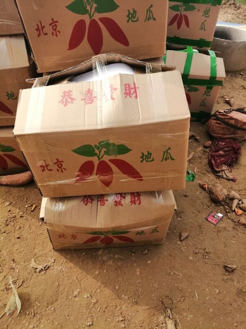 西瓜红！基地直供！货源充足！质优价廉！对接商超！欢迎下单