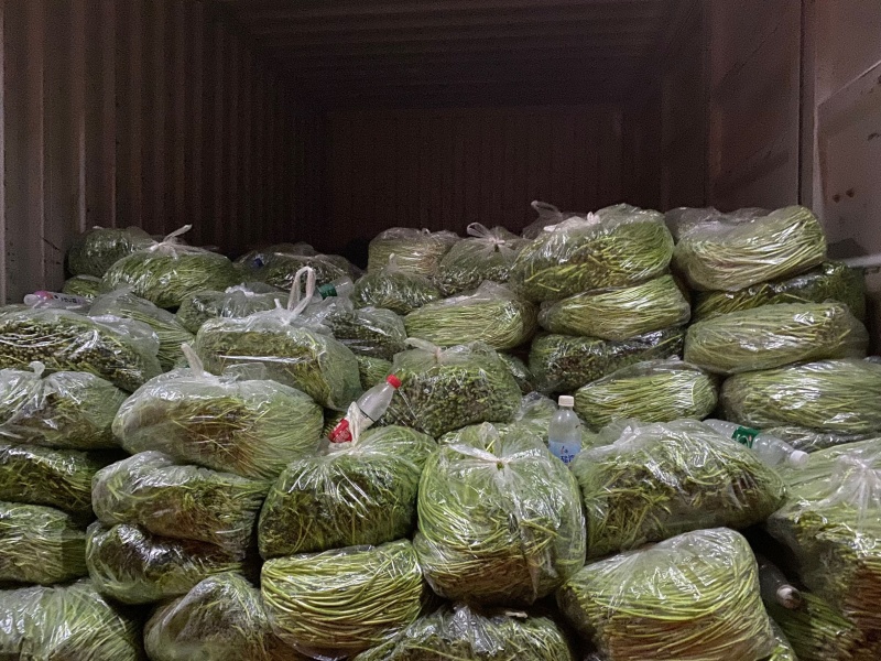 芦蒿以上欢迎咨询价格可谈质量保证