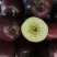 新品种高原黑钻苹果树苗西藏嫁接黑色苹果树苗当年结果