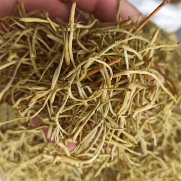 金银花湖北货批发专业
