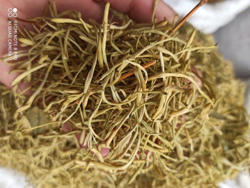 金银花湖北货批发专业