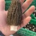 四川剪炳羊肚菌各种规格抛