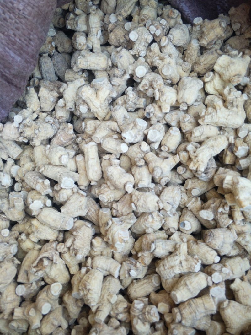长白山多年无磺西洋参软粒头精品促销，各种规格。