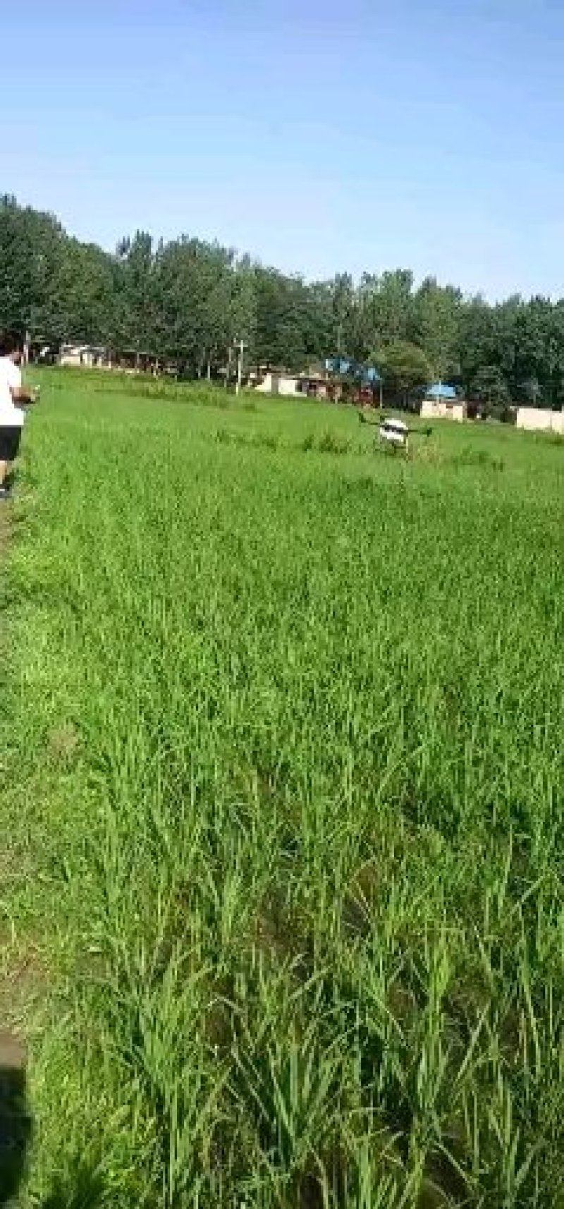 无人机打药