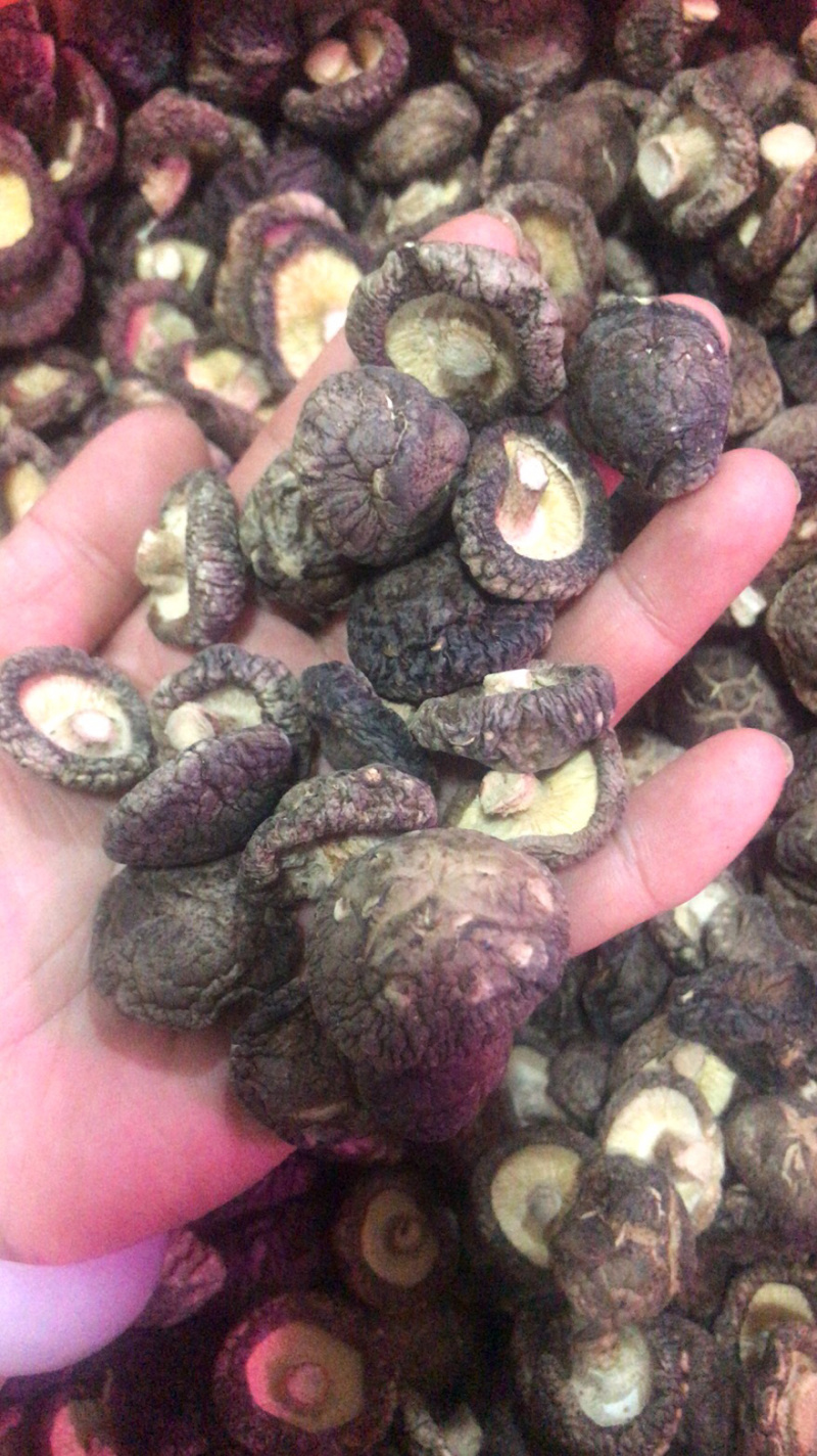 香菇干货年货5斤起包邮新货