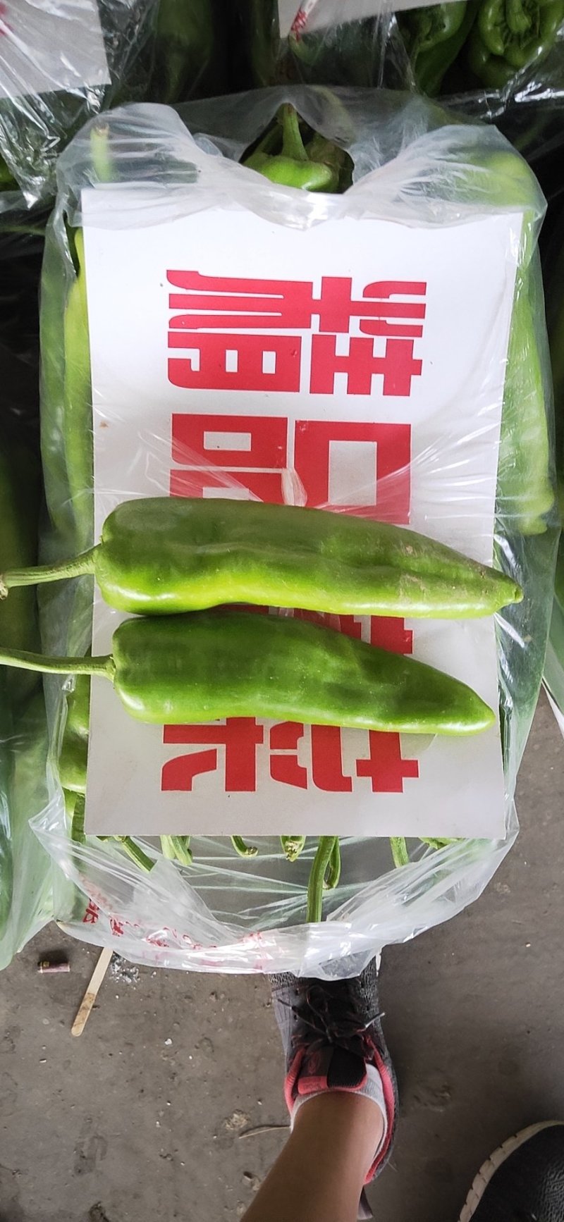 河北尖椒中辣黄散货箱货产地发货品质保证接商超市