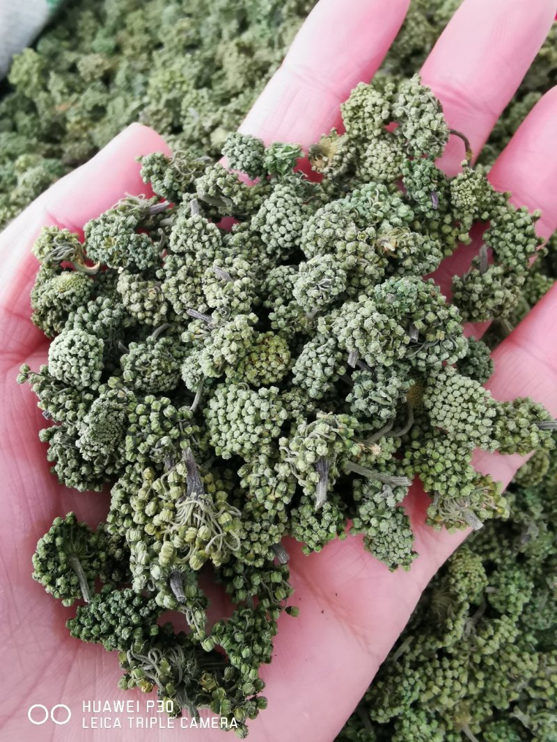 云南三七花500克包邮产地直发常年供应全国发货