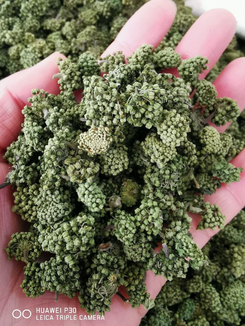 云南三七花500克包邮产地直发常年供应全国发货