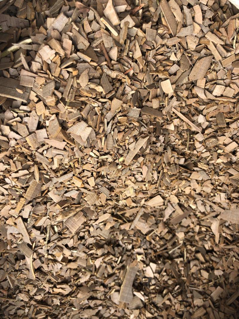 鬼箭羽正品无硫冷背药材