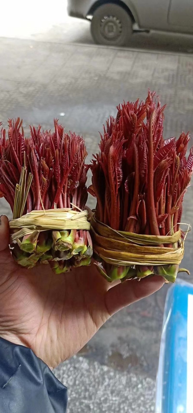 正宗大竹红香椿芽，欢迎网红代卖电商微商支持一件代发。
