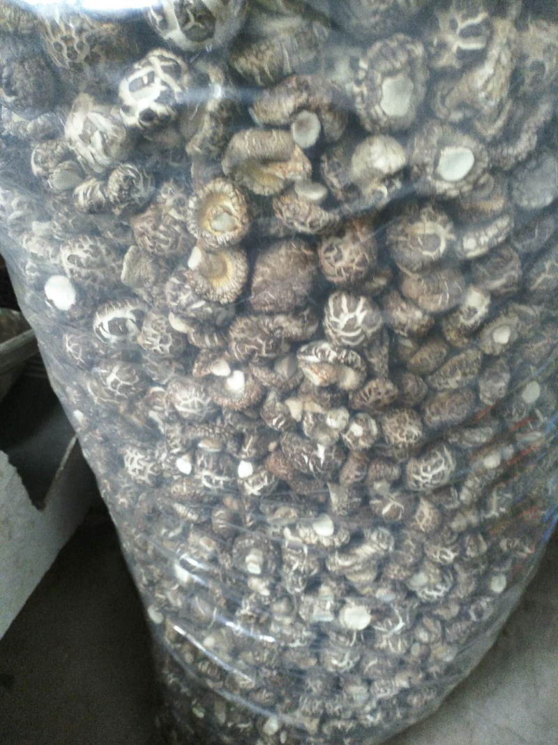 绿色健康精品农家自产干香菇蘑菇